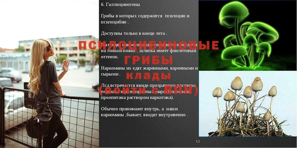 спайс Артём