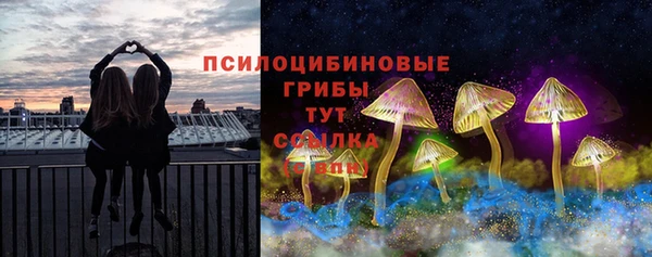 дмт Абаза
